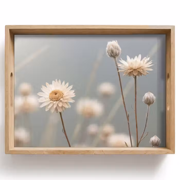 Tray - Straw Flowers - White - Daylight