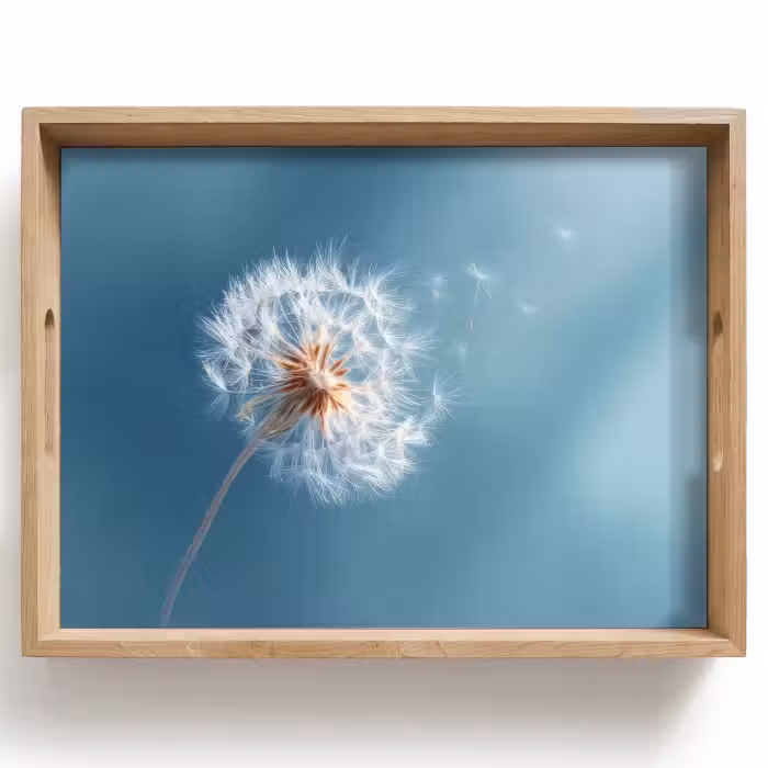 Tray - Dandelion - Wind - Blue