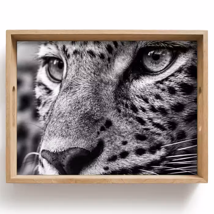 Tray - Leopard - Black - White - Eye