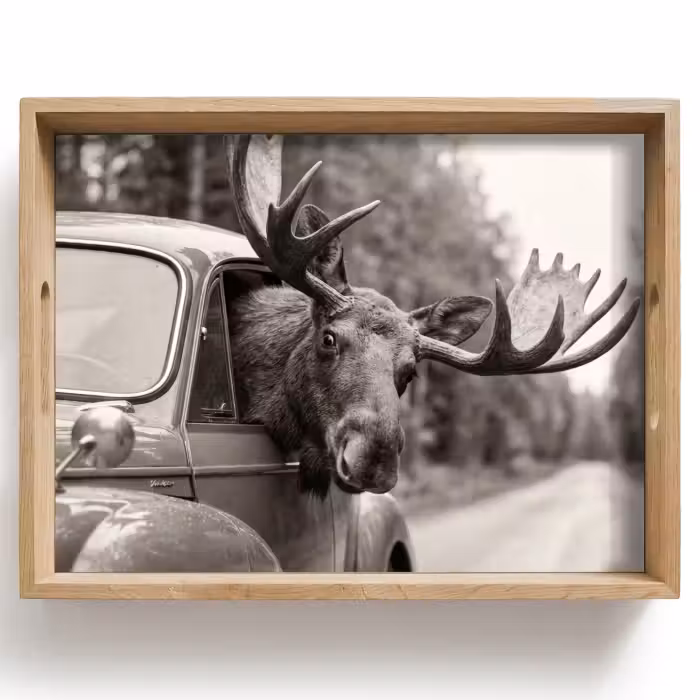 Tray - Moose - Car - Antlers - Black - White