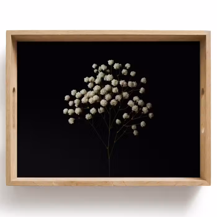 Tray - Drywall - Flowers - White - Minimalist
