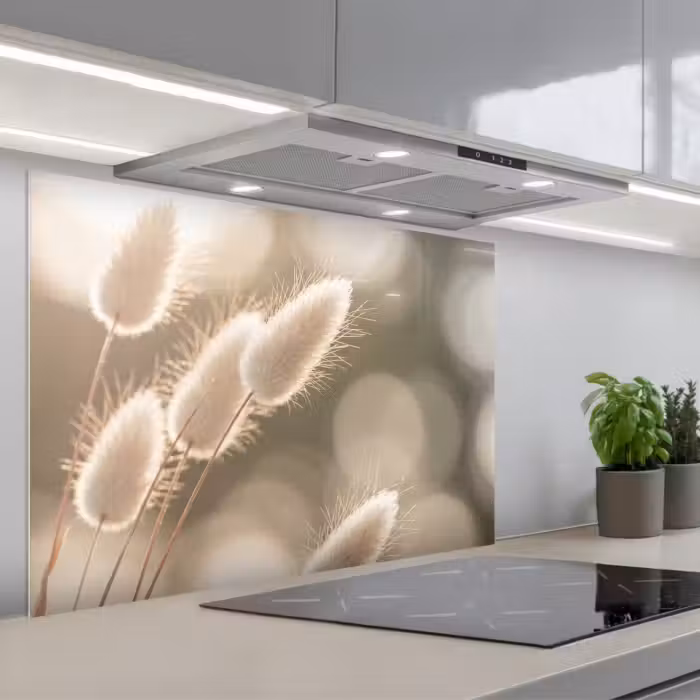 Kitchen splashback for hob - Hazetail Grass - White - Sunlight