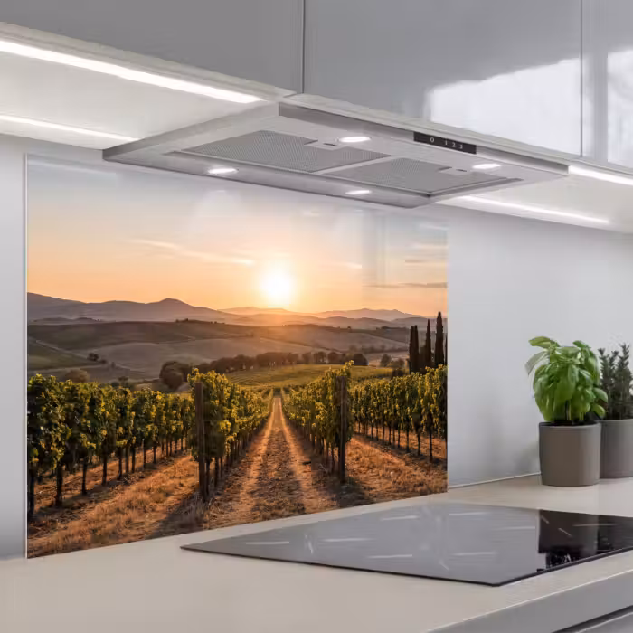 Kitchen splashback for hob - Vineyard - Sunset - Landscape