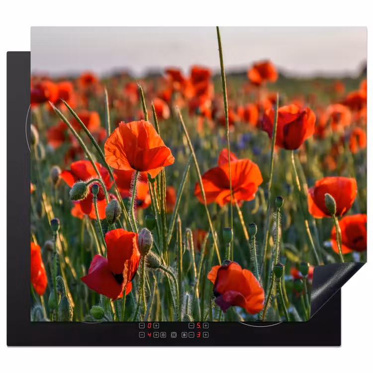 Induction hob protector - Poppies at Sunset — 1