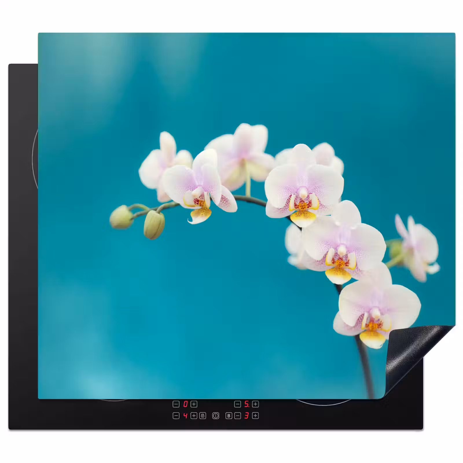 Induction hob protector - Aqua Bliss Orchids — 1