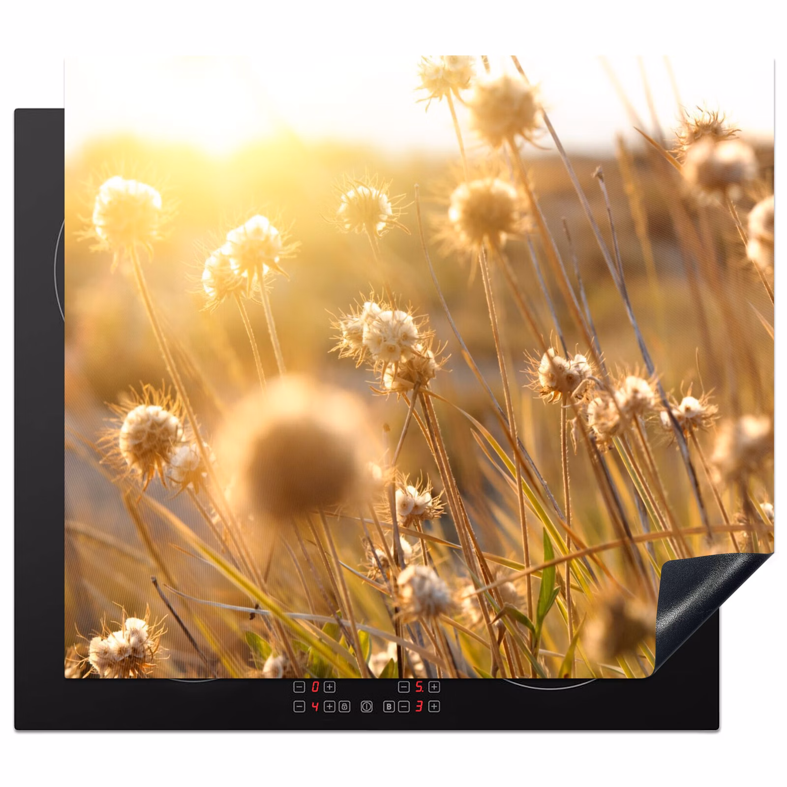 Induction hob protector - Sunlit Field Flowers — 1