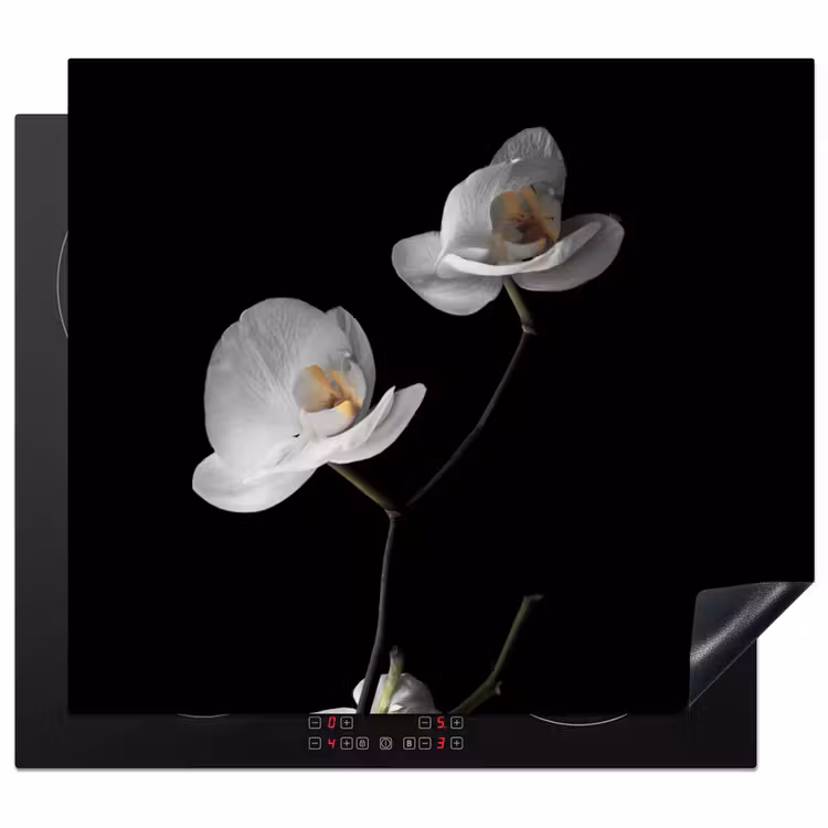 Induction hob protector - Nocturnal Orchid Elegance — 1