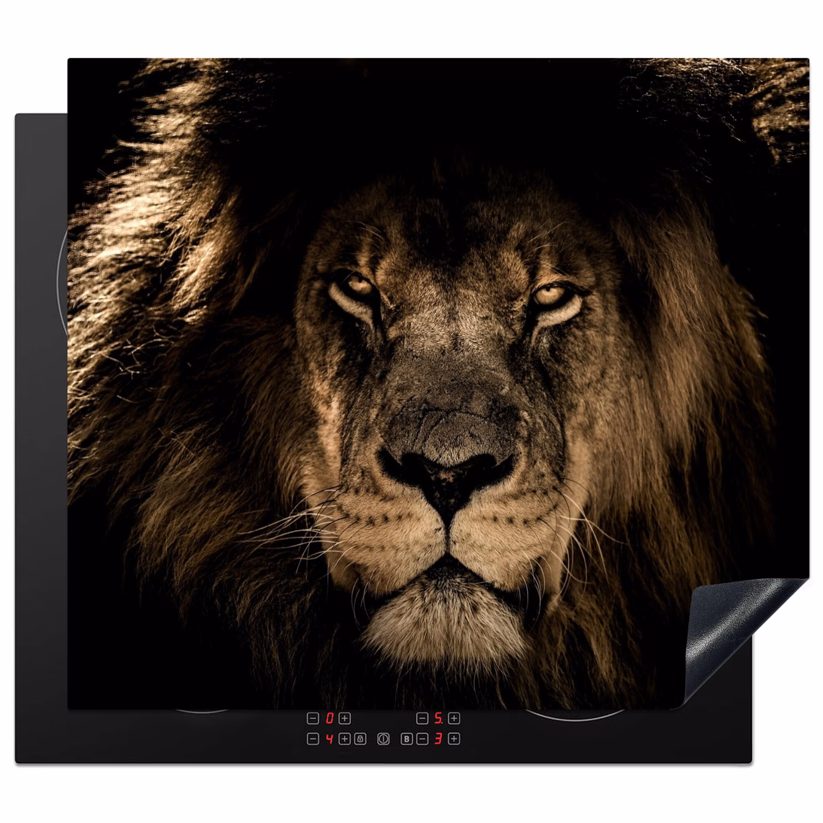 Induction hob protector - Face of the Royal Darkness — 1