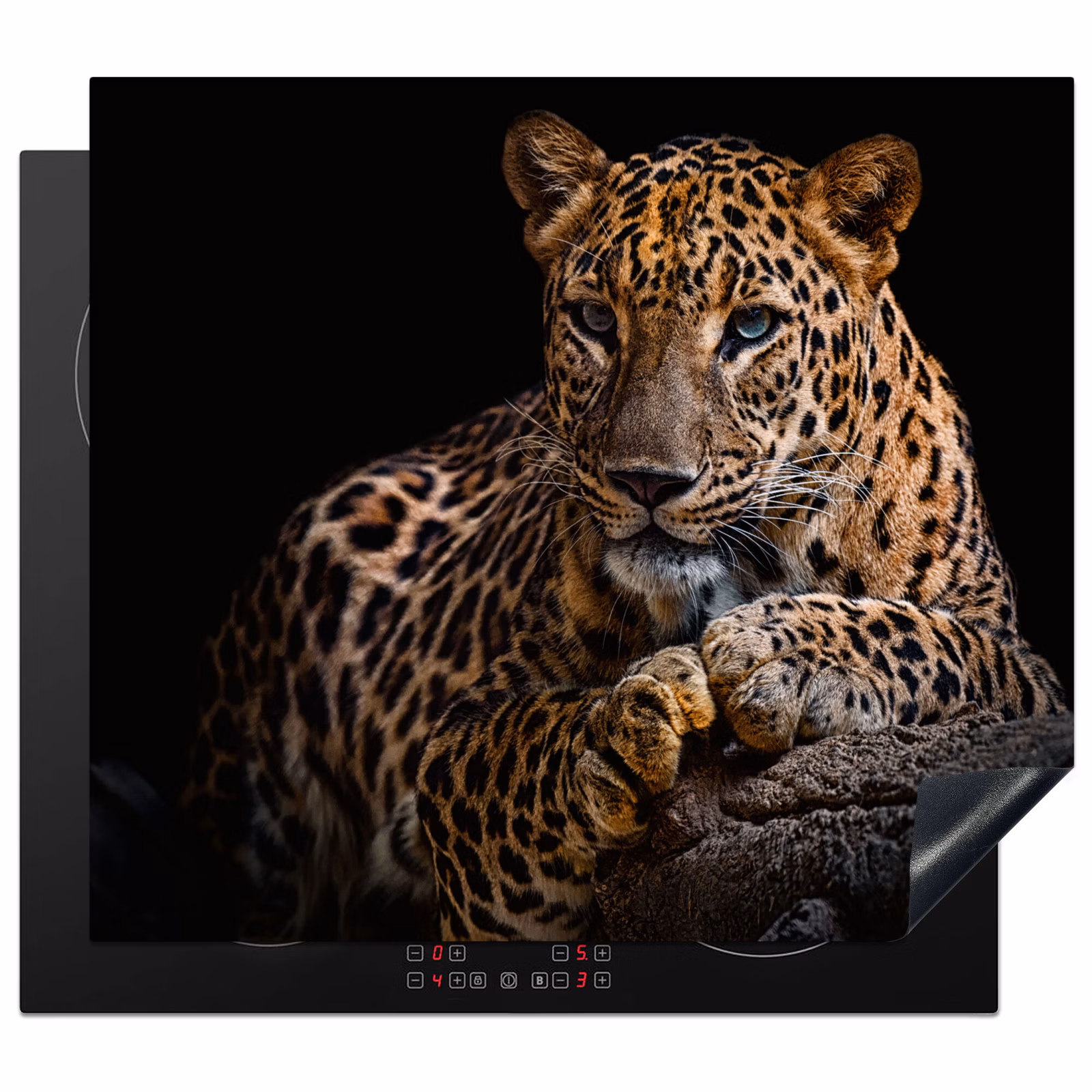 Induction hob protector - Gaze of the Hidden Hunter — 1