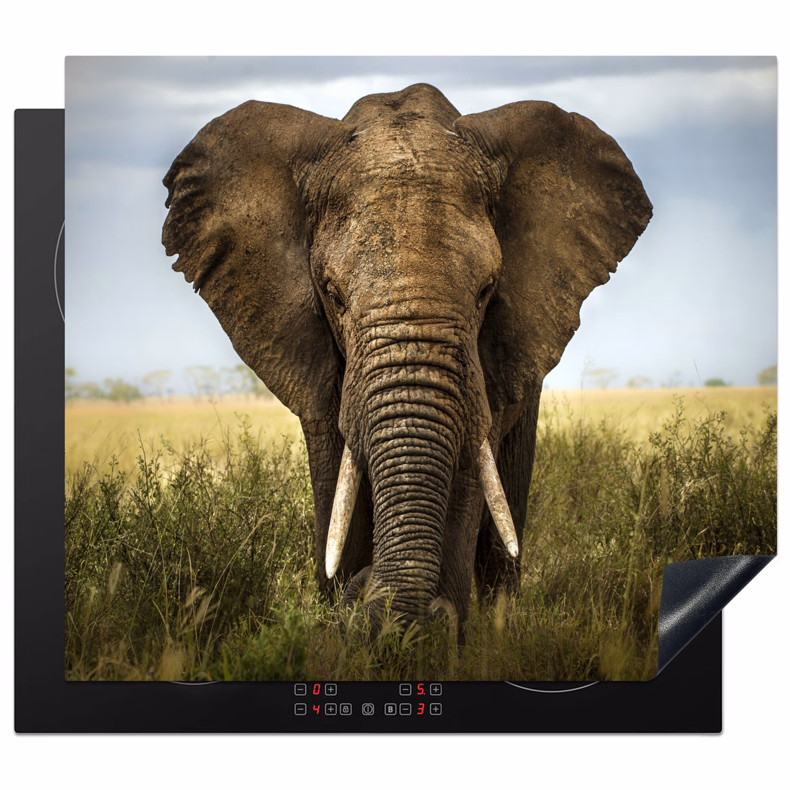 Induction hob protector - Giant of the Savannah — 1