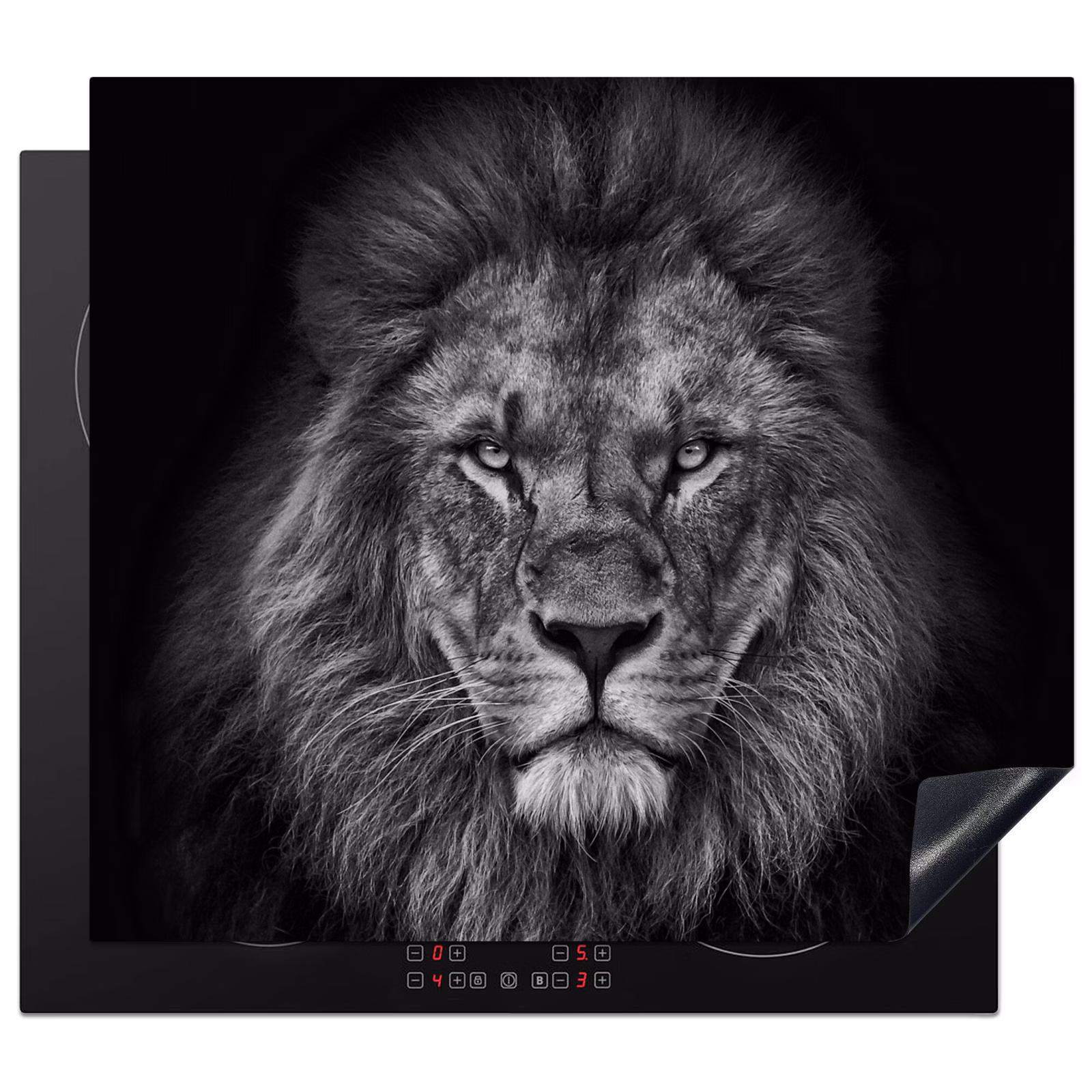 Induction hob protector - Sovereignty in Black and White — 1