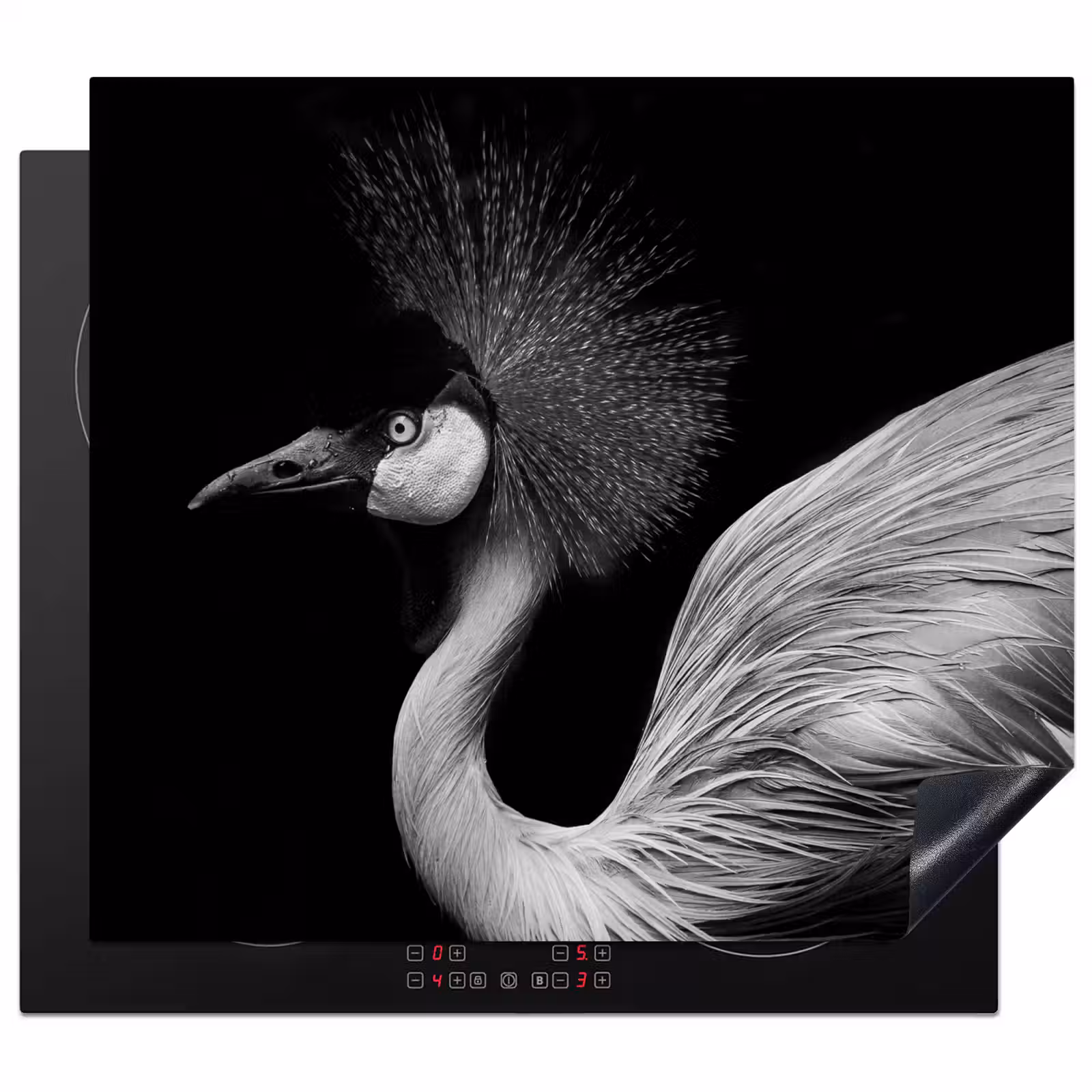 Induction hob protector - Spectator with Feather Crown — 1