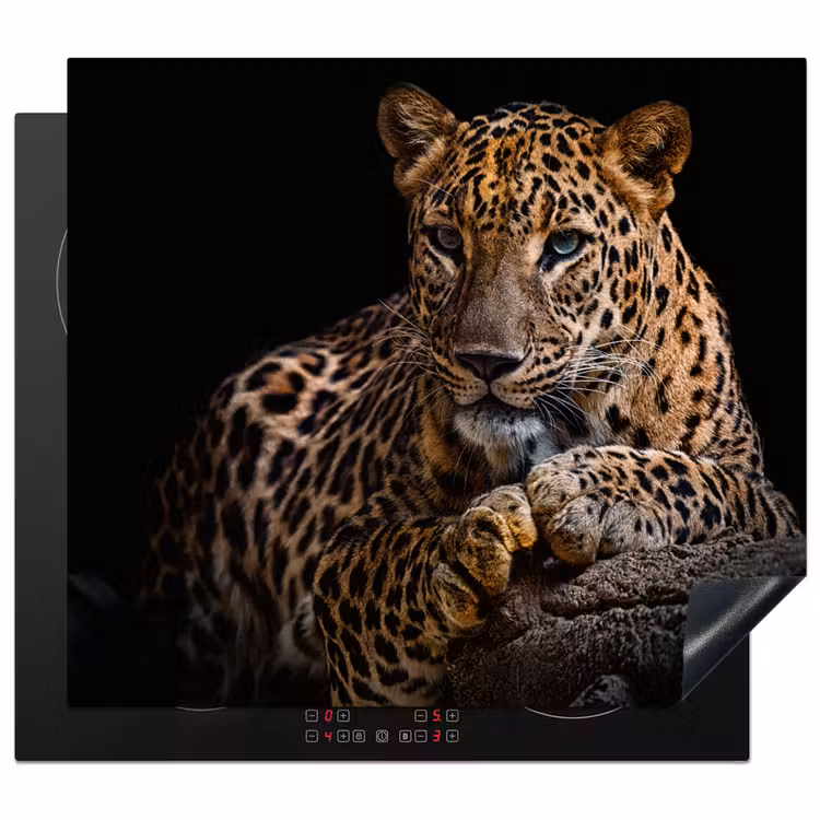 Induction hob protector - Gaze of the Hidden Hunter — 1
