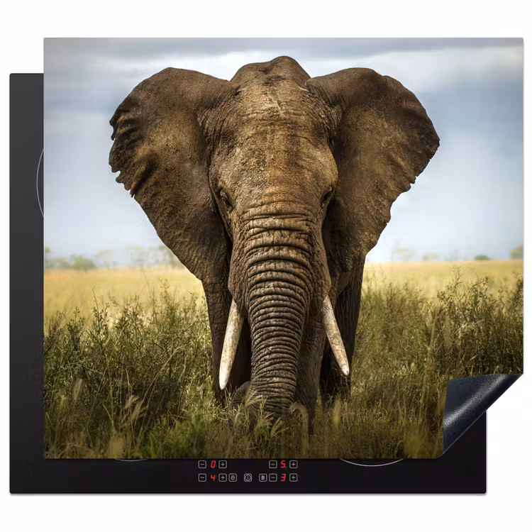 Induction hob protector - Giant of the Savannah — 1