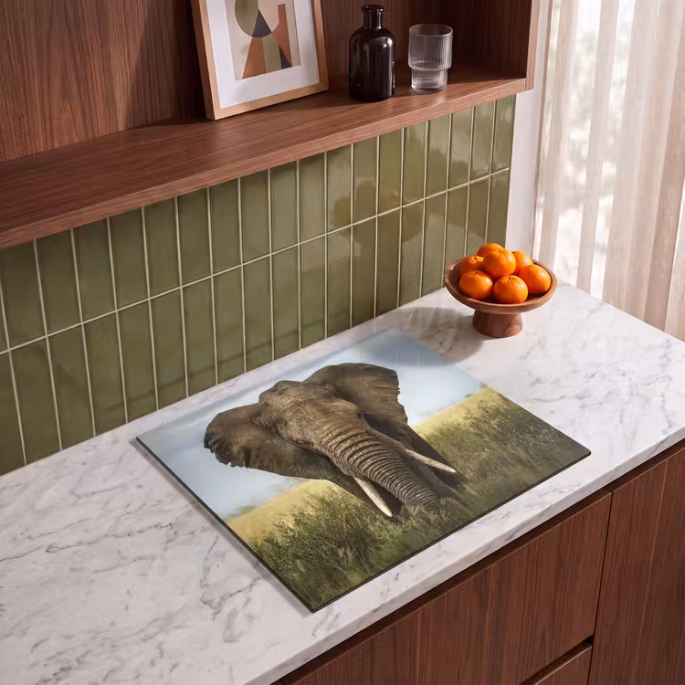 Induction hob protector - Giant of the Savannah — 4