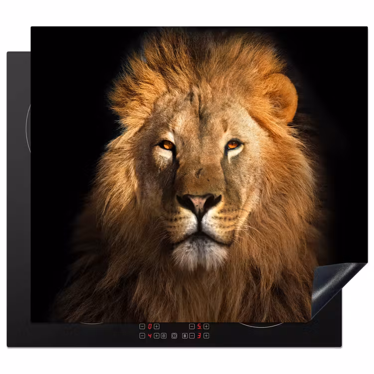 Induction hob protector - Halo of the Jungle — 1