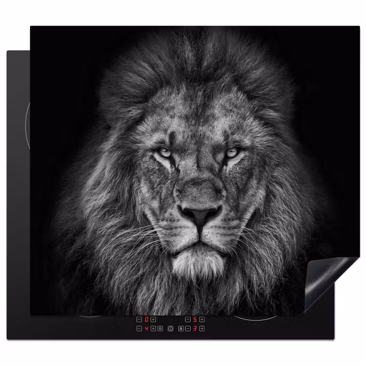 Induction hob protector - Sovereignty in Black and White — 1