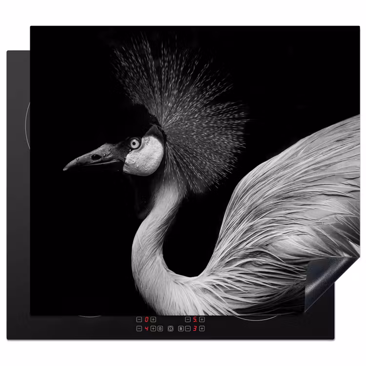 Induction hob protector - Spectator with Feather Crown — 1