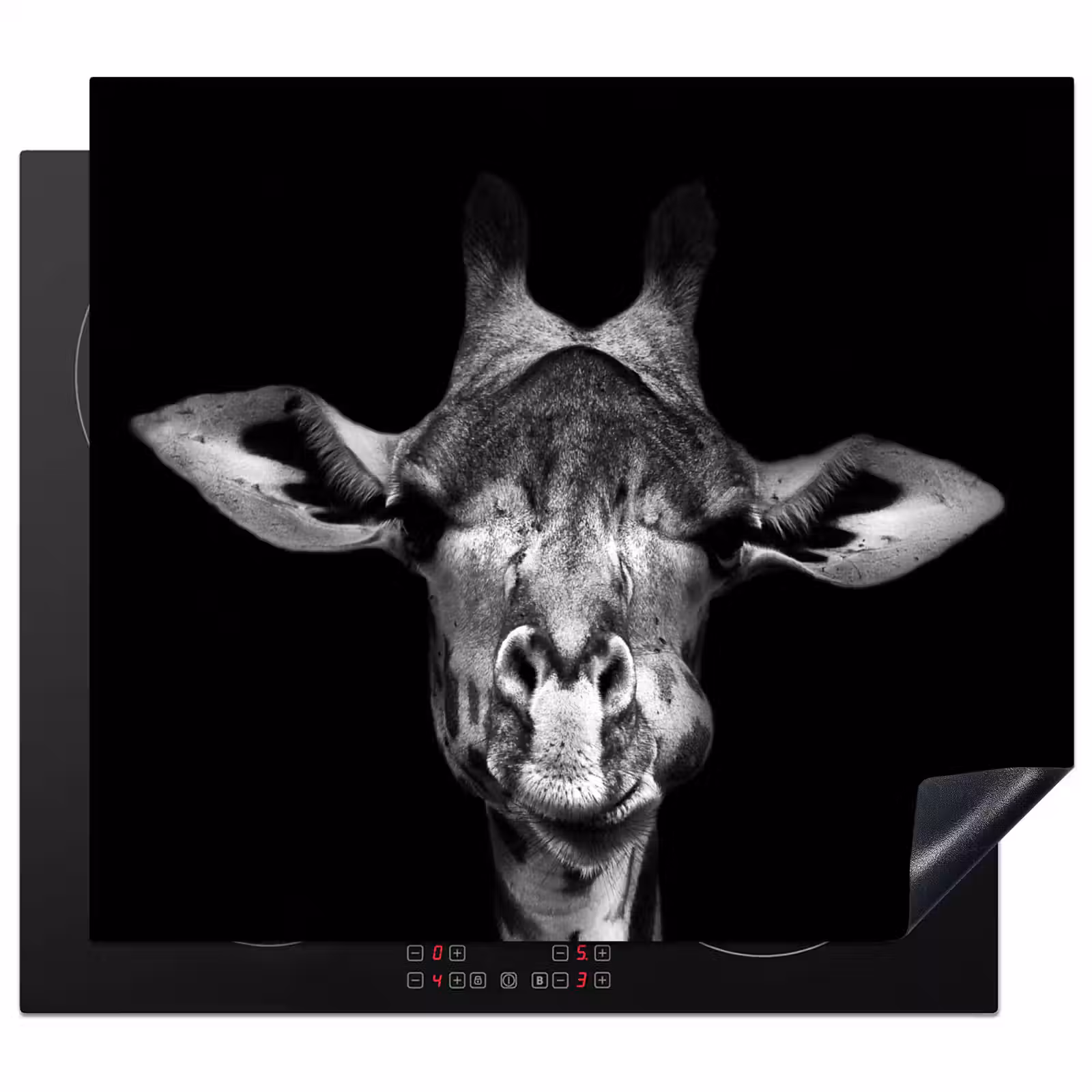 Induction hob protector - Portrait of a Silent Observer — 1