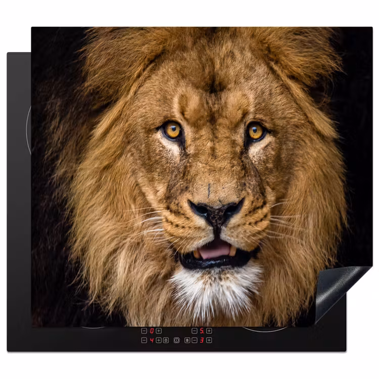 Induction hob protector - Face of the Serengeti — 1