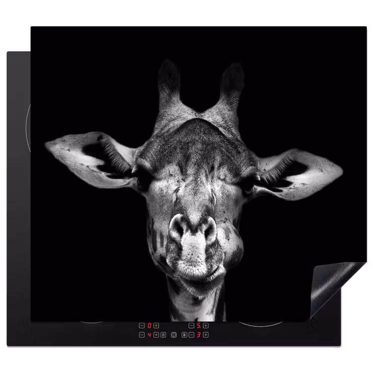 Induction hob protector - Portrait of a Silent Observer — 1