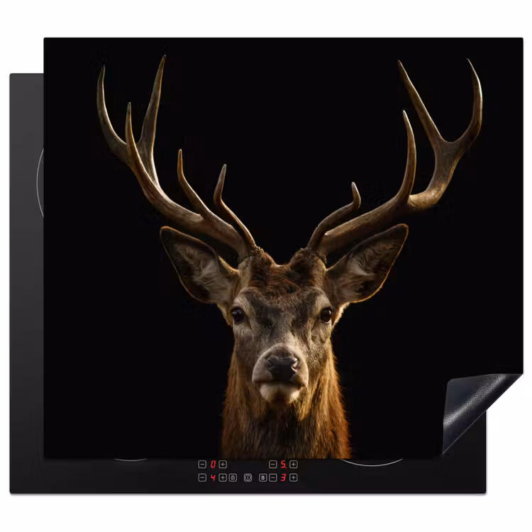 Induction hob protector - Throne of the Forest — 1
