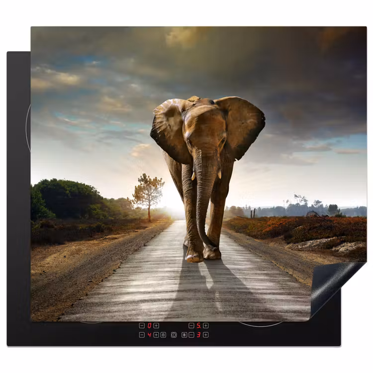 Induction hob protector - Traveler at Sunrise — 1