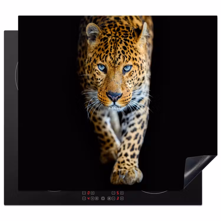 Induction hob protector - Twilight Walk of a Leopard — 1