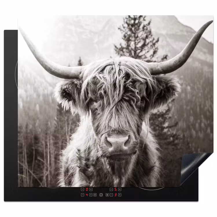 Induction hob protector - Guardian of the Mountains — 1