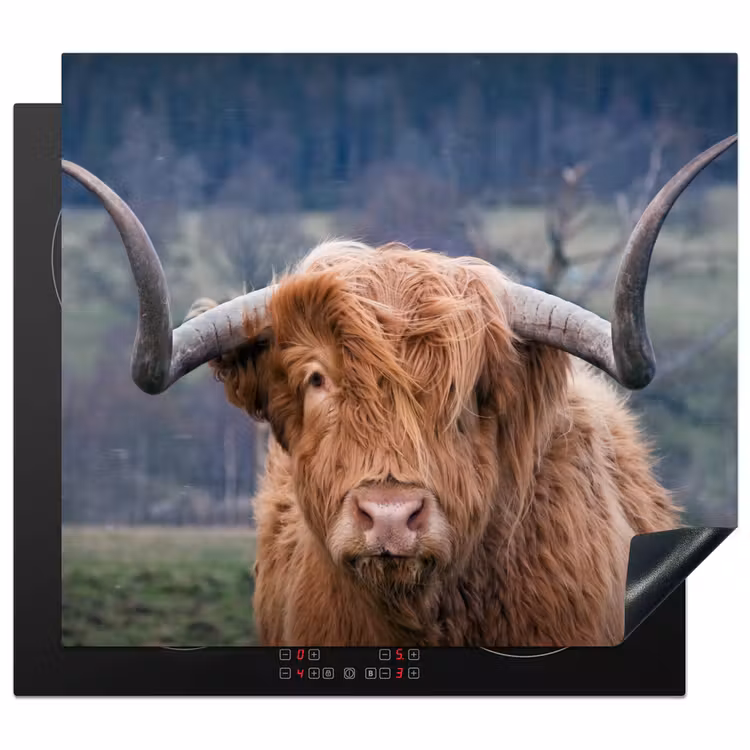 Induction hob protector - Ruler of the Highlands — 1