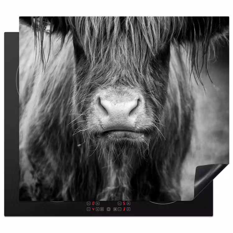 Induction hob protector - Stoic Gaze — 1