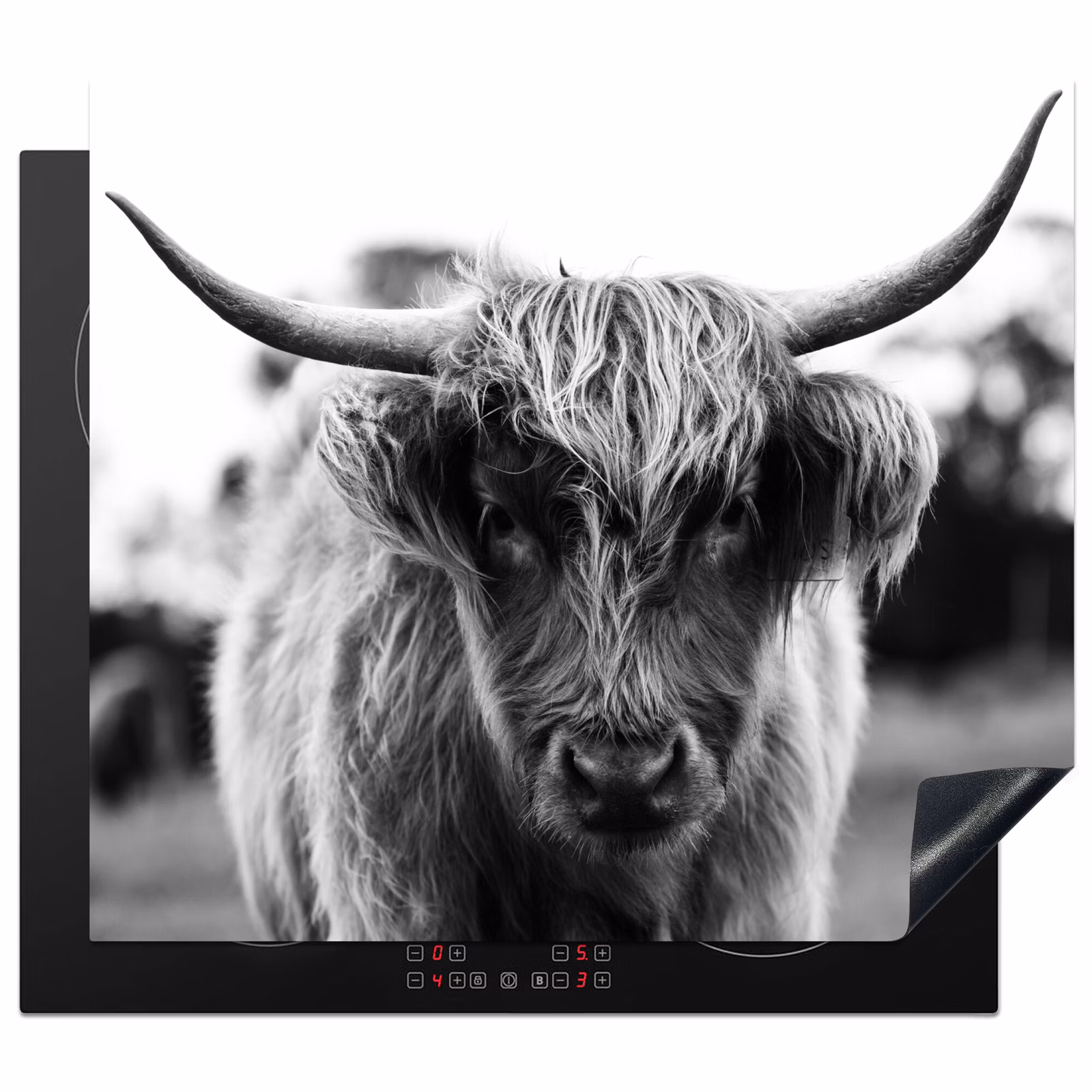 Induction hob protector - Contrasts of the Highlands — 1