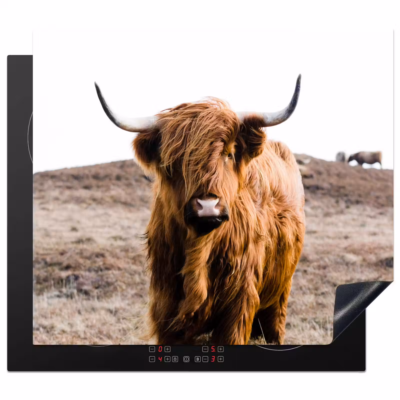 Induction hob protector - Guardian of the Highlands — 1