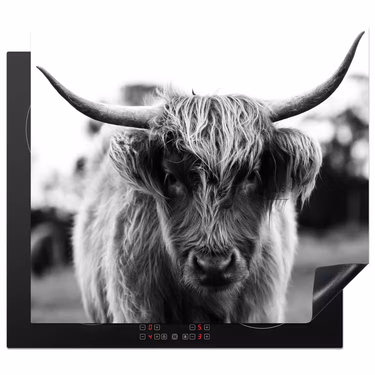 Induction hob protector - Contrasts of the Highlands — 1