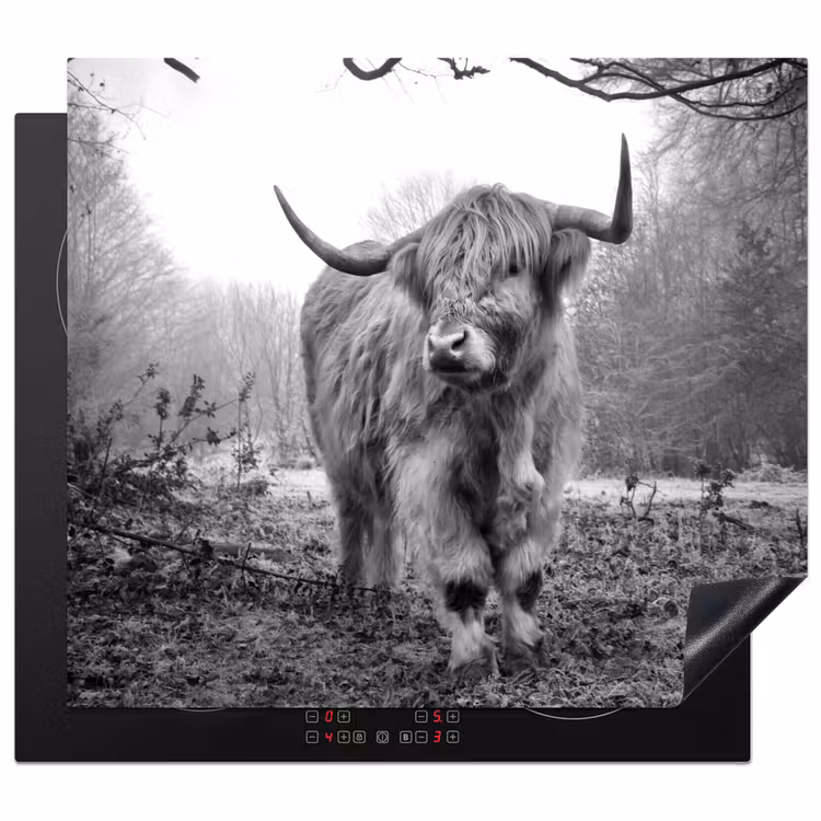 Induction hob protector - Ruler of the Fog — 1