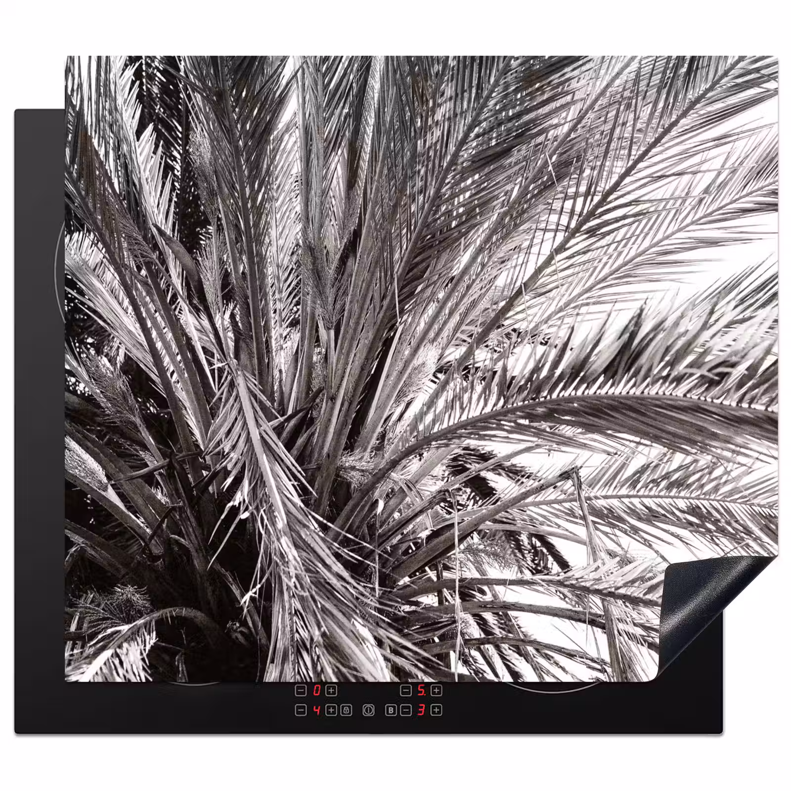 Induction hob protector - Monochrome Palm Roof — 1