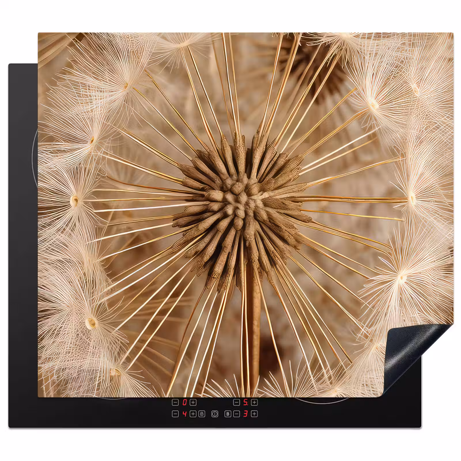 Induction hob protector - Radiance of Nature — 1