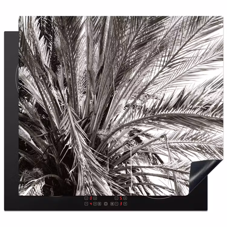 Induction hob protector - Monochrome Palm Roof — 1