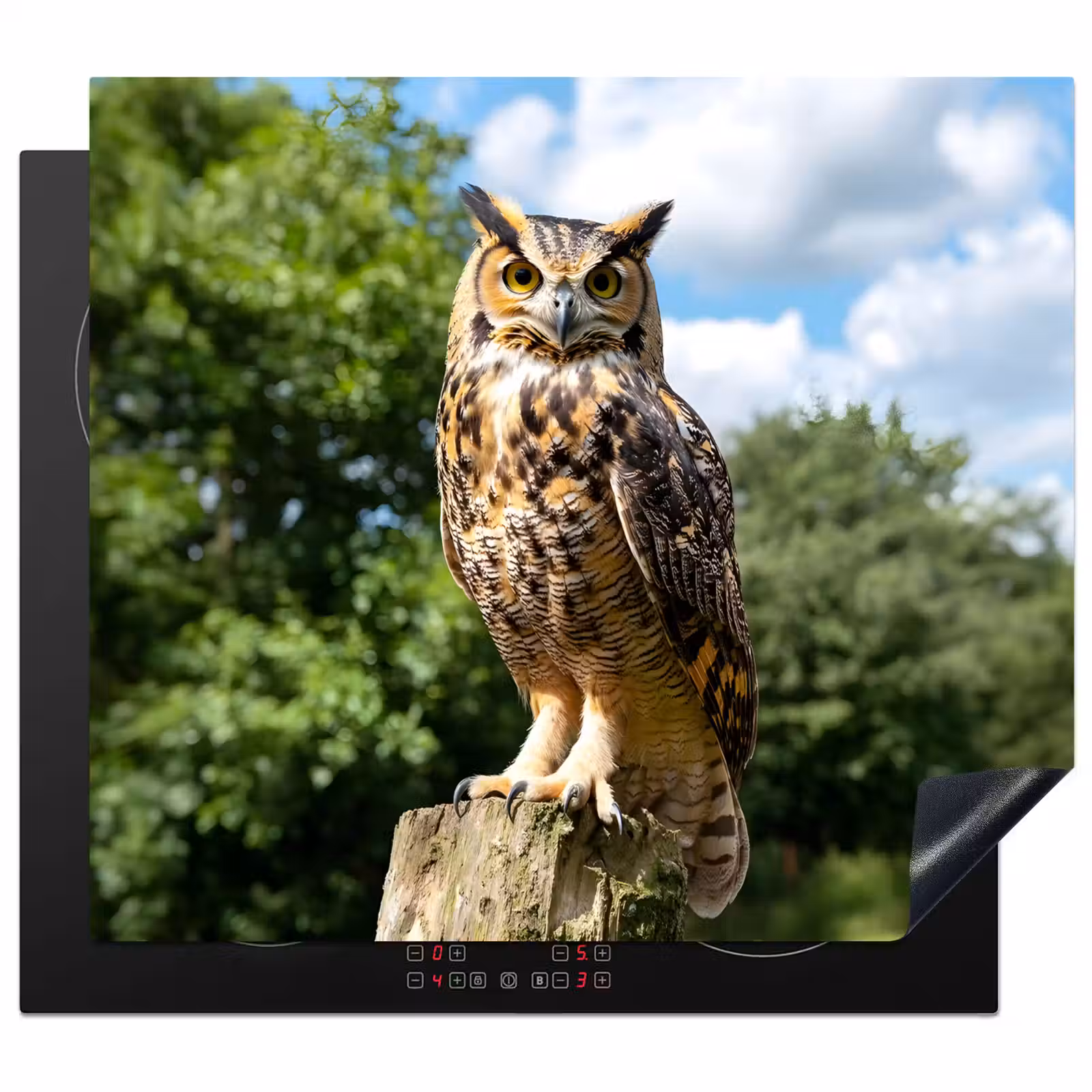 Induction hob protector - Owl - Trunk - Forest - Sky — 1