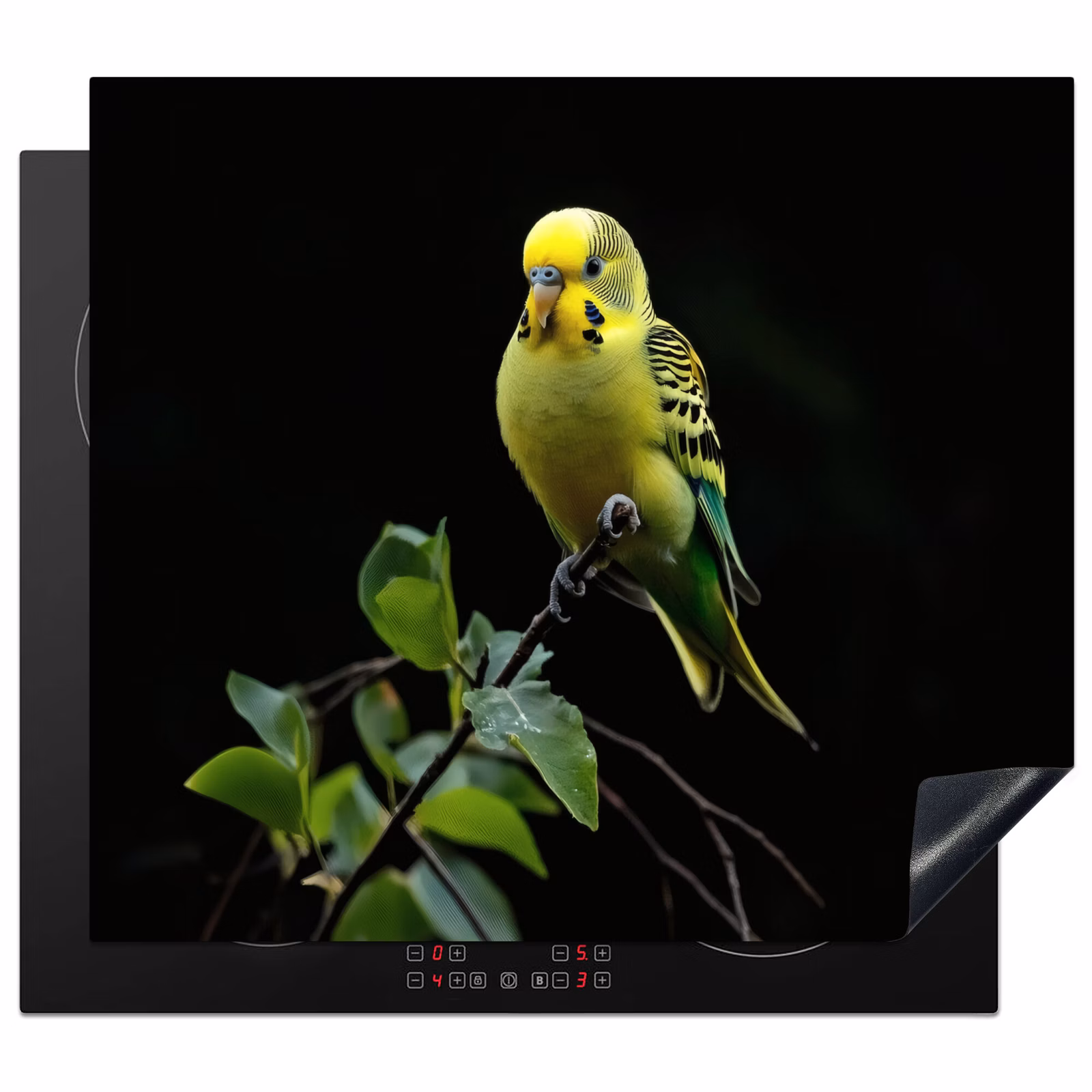 Induction hob protector - Parakeet - Branch - Leaves - Yellow — 1