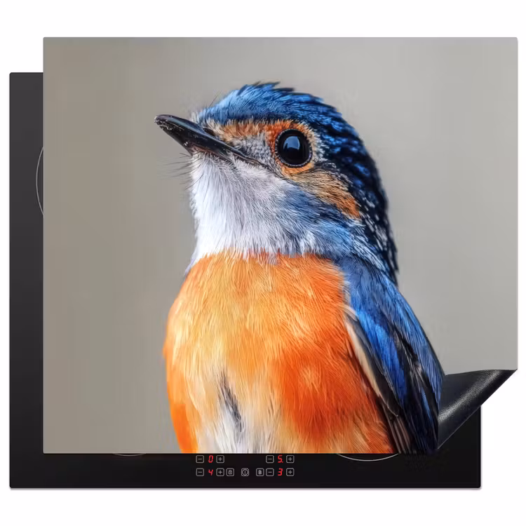 Induction hob protector - Colorful - Bird - Feathers - Blue — 1
