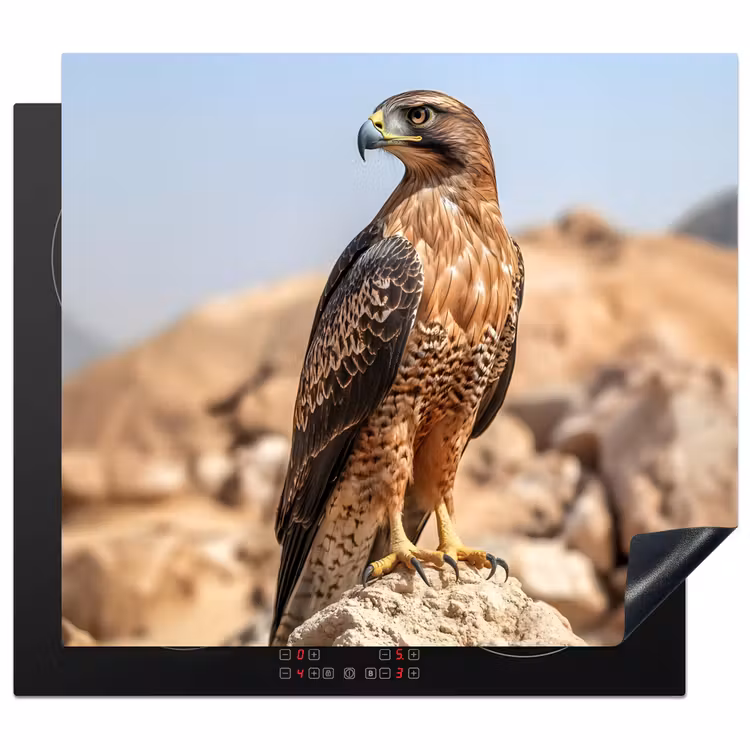 Induction hob protector - Falcon - Bird - Rock - Power — 1