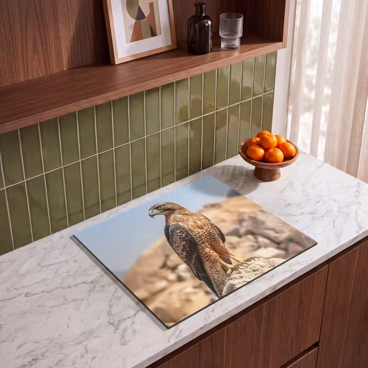 Induction hob protector - Falcon - Bird - Rock - Power — 4