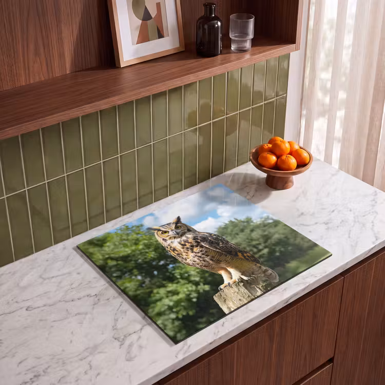 Induction hob protector - Owl - Trunk - Forest - Sky — 4