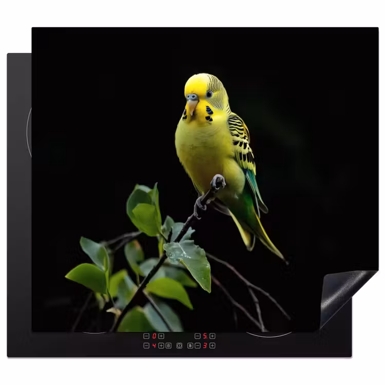 Induction hob protector - Parakeet - Branch - Leaves - Yellow — 1