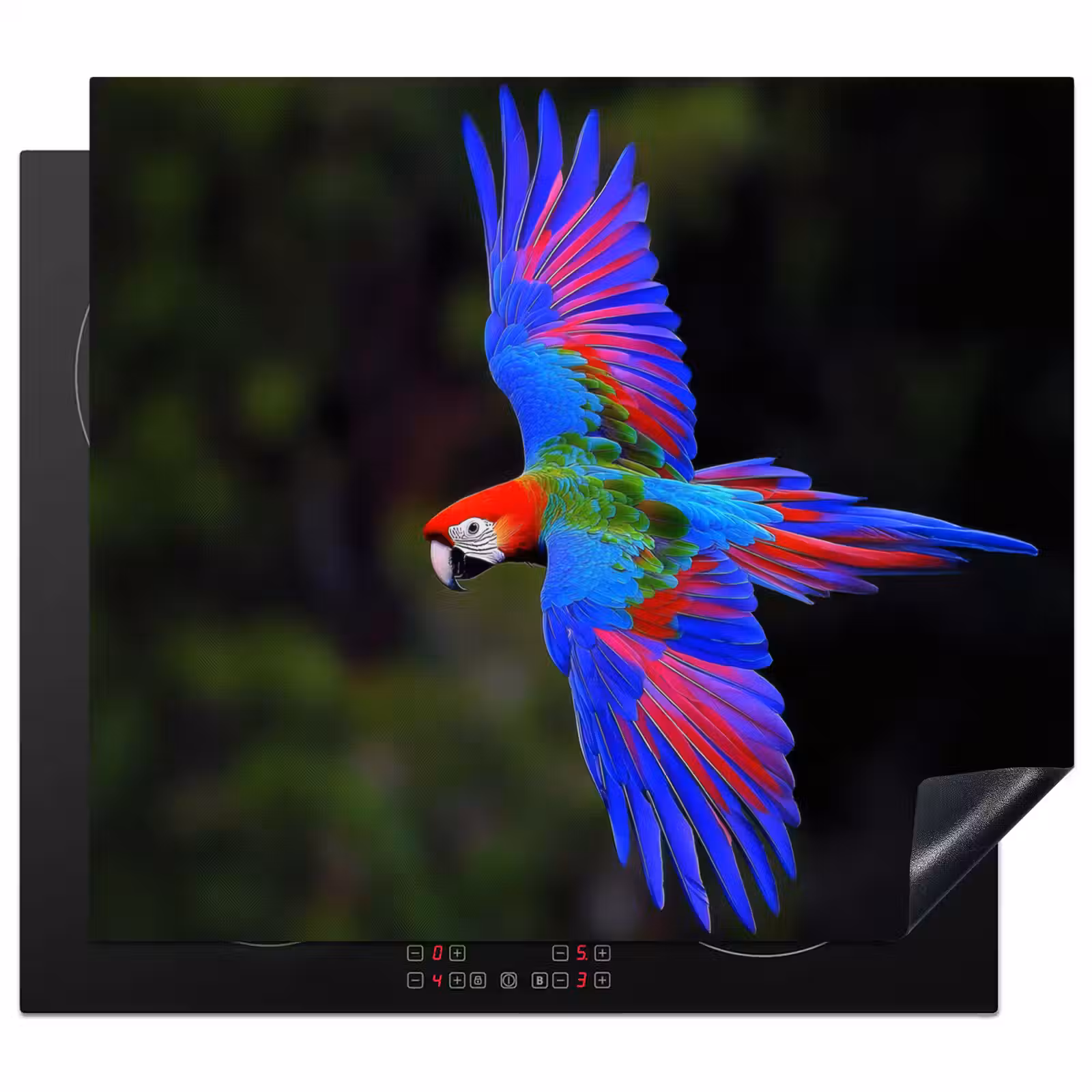 Induction hob protector - Brightly colored - Parrot - Forest - Wings — 1