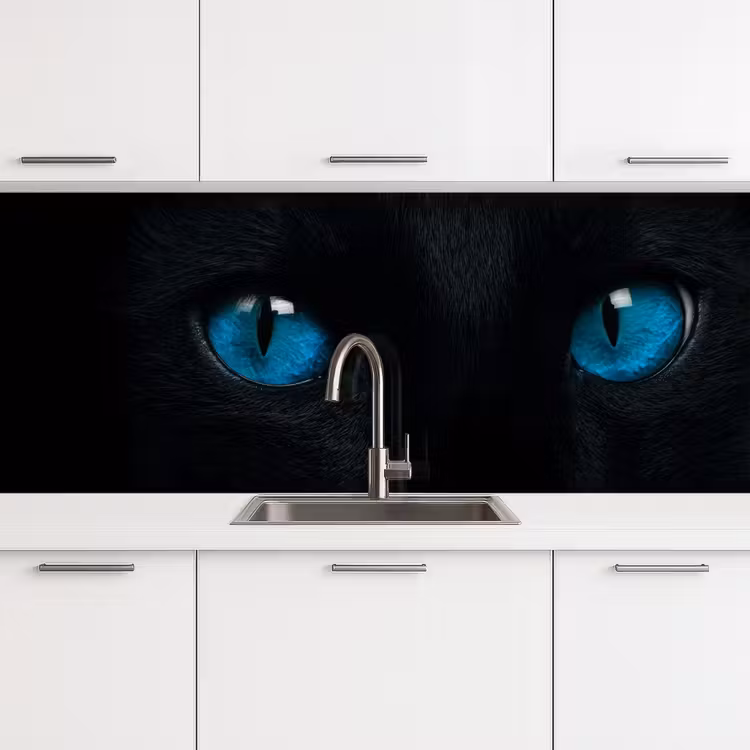 Kitchen splashback - Cat - Blue - Animal - Black — 4