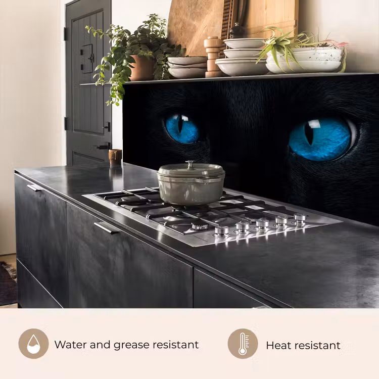 Kitchen splashback - Cat - Blue - Animal - Black — 5
