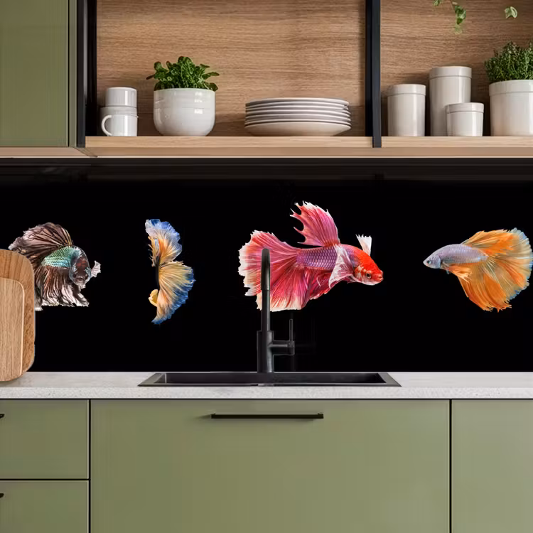 Kitchen splashback - Fish - Colorful - Animals — 8