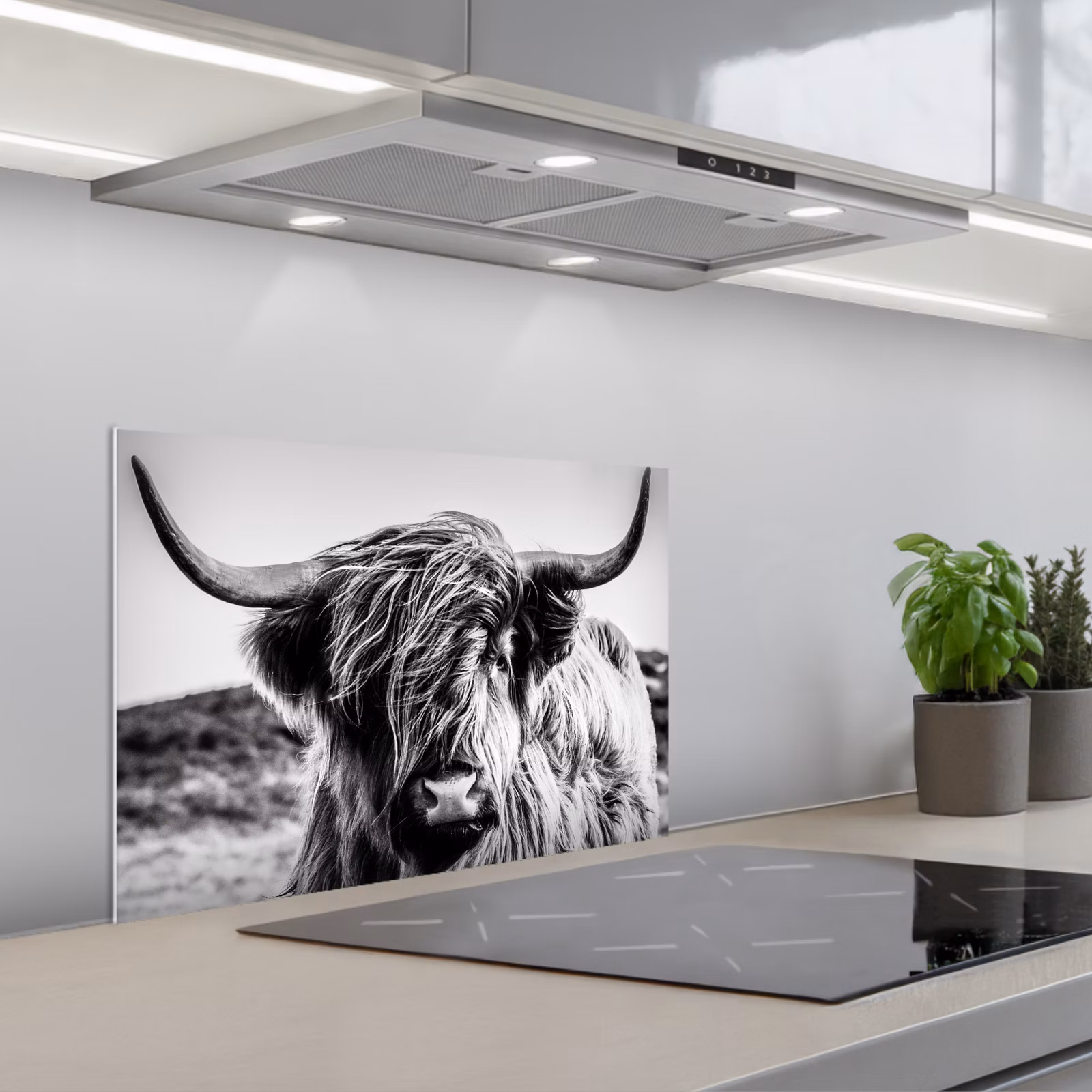 Kitchen splashback for hob - Cow - Scottish highlander - Black - White - Animal - Nature - Wildlife — 1